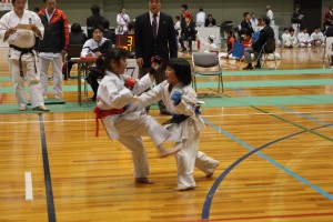 H27_karate_blog311