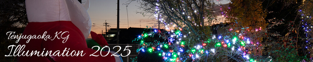 イルミネーション2025年